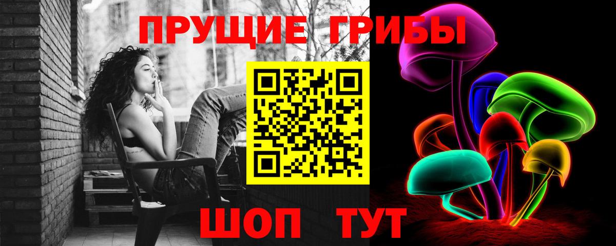 Чебаркуль  Псилоцибиновые грибы мицелий  купить   Вход с VPN 