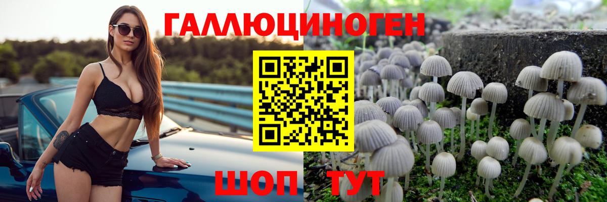 Галлюциногенные грибы ЛСД Чебаркуль
